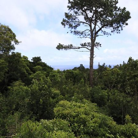 Casas Do Caminho Novo Villa São Roque do Pico Kültér fotó